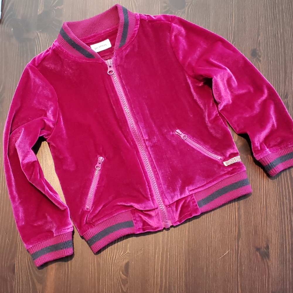 Hudson purple velvet zip up jacket